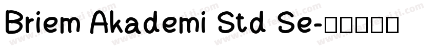 Briem Akademi Std Se字体转换